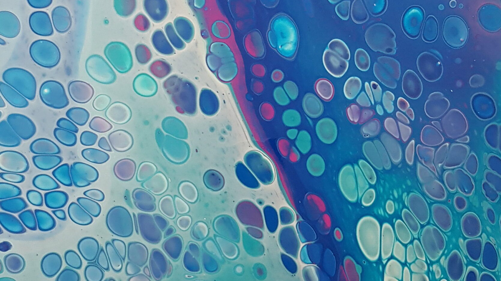 Fluid Art Cells with Silicone Oil