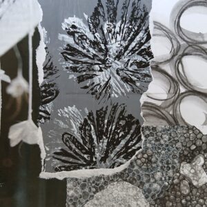 2B. 20240224_175944 1-1